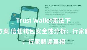 Trust Wallet无法下载解决方案 信任钱包安全性分析：行家解读真相