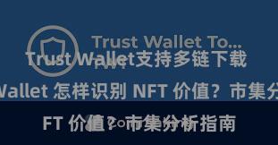 Trust Wallet支持多链下载 Trust Wallet 怎样识别 NFT 价值？市集分析指南