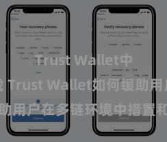 Trust Wallet中国区下载 Trust Wallet如何缓助用户在多链环境中措置和兑换金钱？